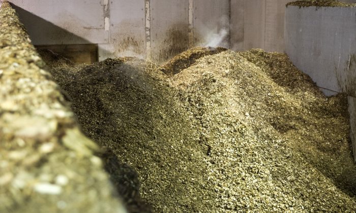 Dijon : Les représentants des commissions de quartier visitent la chaufferie biomasse des Valendons